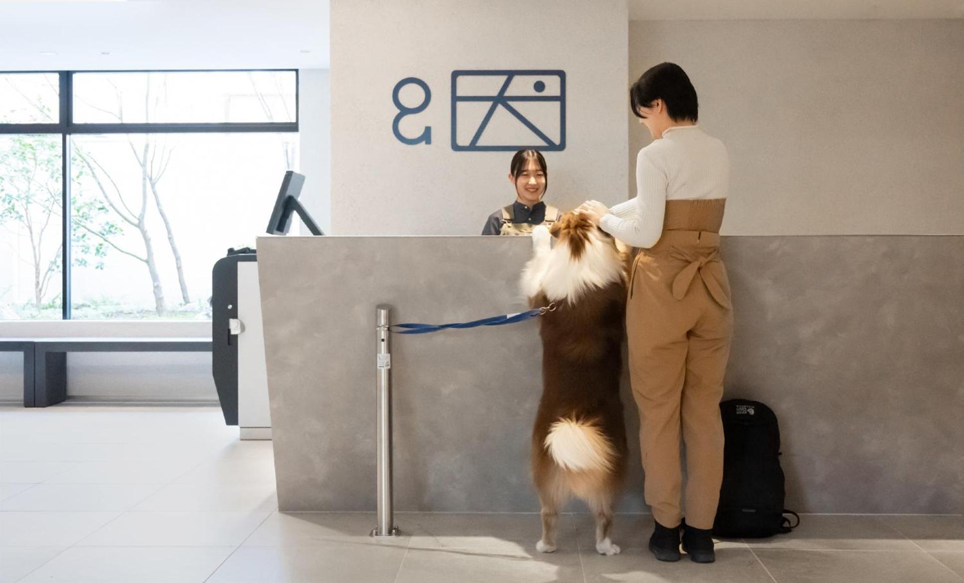 Hotel Anddoggy Kyoto Nijo Buitenkant foto