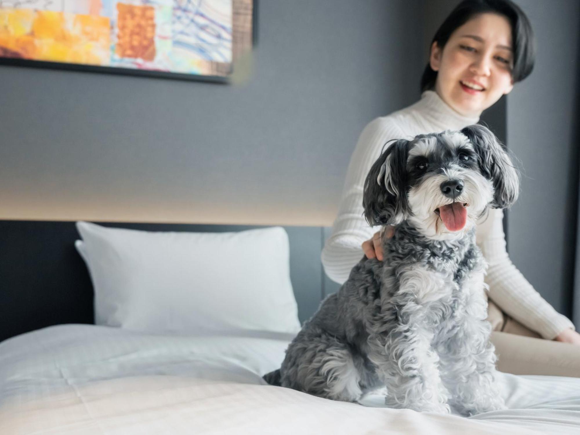 Hotel Anddoggy Kyoto Nijo Buitenkant foto