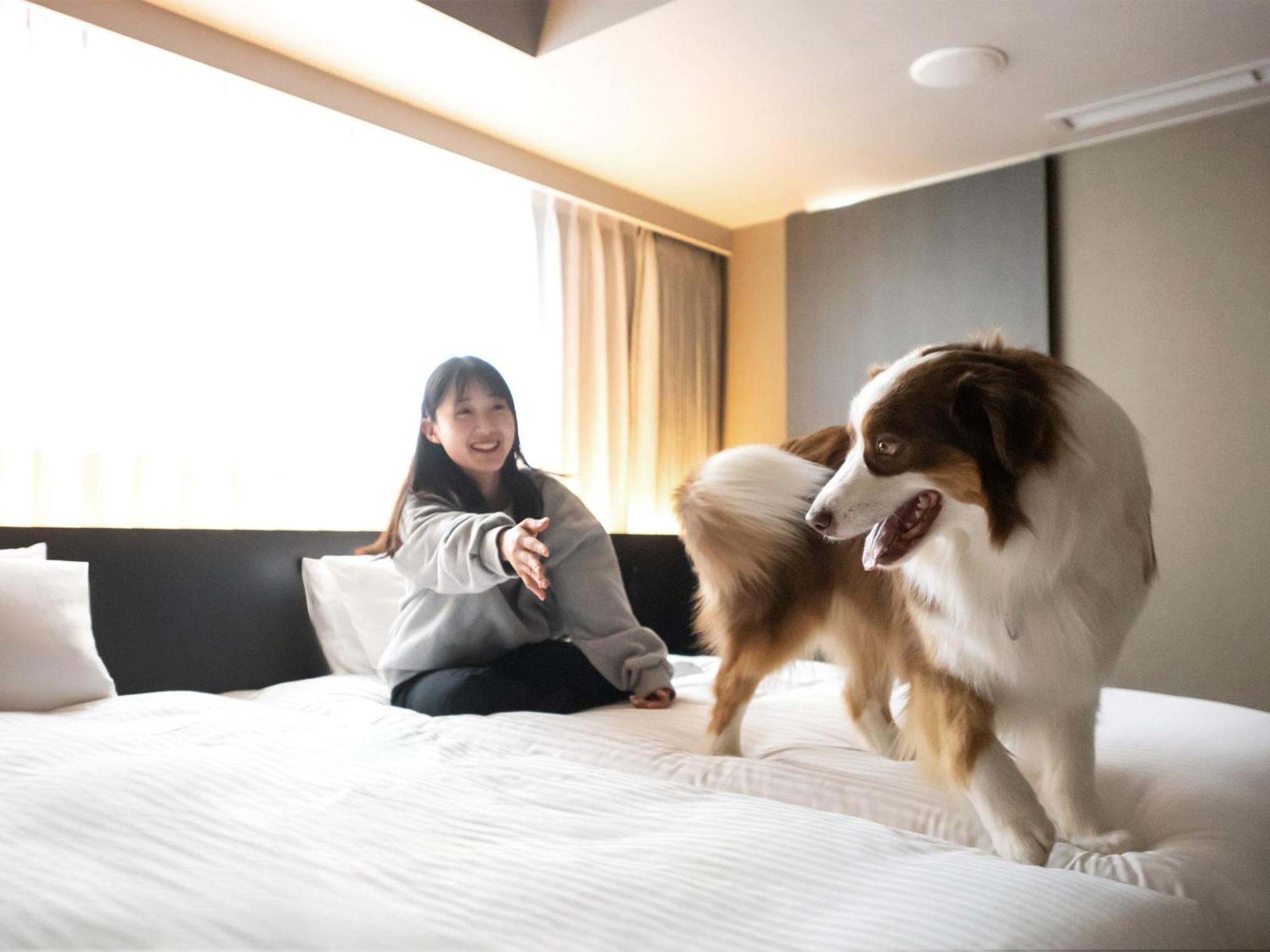Hotel Anddoggy Kyoto Nijo Buitenkant foto